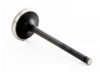 1999 Mazda 626 2.0L Engine Intake Valve IM2836 -17