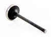 2000 Mazda 626 2.0L Engine Intake Valve IM2836 -19