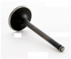 1986 Isuzu Pickup 2.3L Engine Intake Valve IM2884 -3