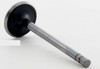 1995 GMC G3500 5.7L Engine Intake Valve V1078 -3901