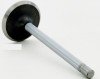 1990 Mercury Grand Marquis 5.0L Engine Intake Valve V1830 -428