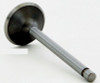 1987 Buick Skylark 3.0L Engine Intake Valve V1876 -254
