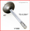 1985 Pontiac 6000 2.8L Engine Intake Valve V1888 -76