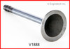 1985 Pontiac 6000 2.8L Engine Intake Valve V1888 -76