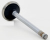 1985 Dodge Aries 2.2L Engine Exhaust Valve V1897 -59