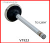 1995 GMC P3500 4.3L Engine Exhaust Valve V1923B -5205