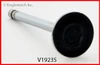 1992 GMC P3500 5.7L Engine Exhaust Valve V1923SB -5019