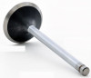 1987 Chevrolet Corsica 2.8L Engine Intake Valve V2140 -6