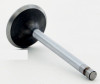 1986 Ford Ranger 2.9L Engine Intake Valve V2152 -2