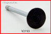 1987 Ford Country Squire 5.0L Engine Exhaust Valve V2193 -11
