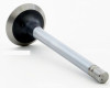 1986 Dodge B150 5.2L Engine Exhaust Valve V2441 -123