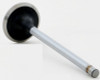 1997 Ford E-350 Econoline 7.3L Engine Exhaust Valve V3191B -11