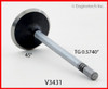 2006 Ford Mustang 4.0L Engine Exhaust Valve V3431 -48