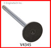 2000 Ford Focus 2.0L Engine Exhaust Valve V4345 -21