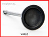 2012 Ford F-150 5.0L Engine Intake Valve V4462 -3