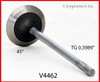 2015 Ford F-150 5.0L Engine Intake Valve V4462 -9
