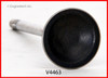 2012 Ford F-150 5.0L Engine Exhaust Valve V4463 -3