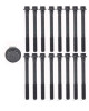 1995 Toyota Camry 3.0L Engine Cylinder Head Bolt Set HB155 -5