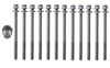 2005 Subaru Legacy 2.5L Engine Cylinder Head Bolt Set HB204 -17