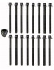 2008 Hyundai Entourage 3.8L Engine Cylinder Head Bolt Set HB283 -12