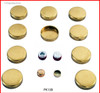 2006 Ford E-150 4.6L Engine Expansion Plug Kit PK13B -138