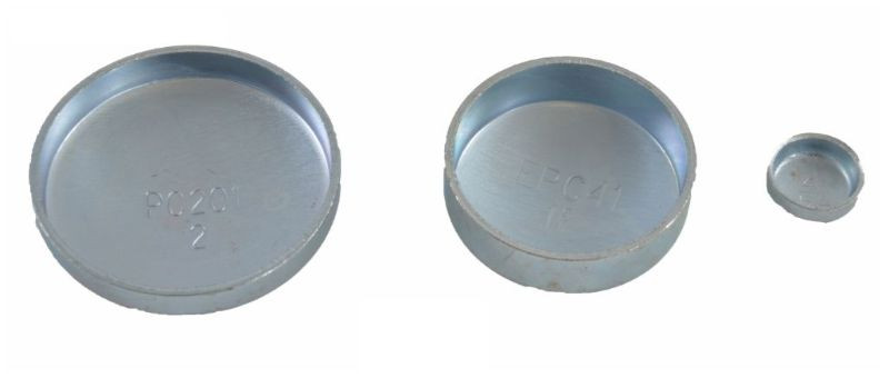 2002 Chevrolet Tahoe 5.3L Engine Expansion Plug Kit PK827 -36