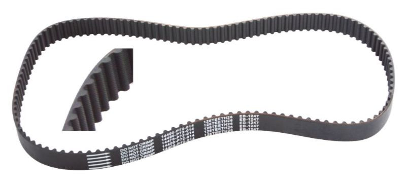 1999 Acura Integra 1.8L Engine Timing Belt TB247.P9