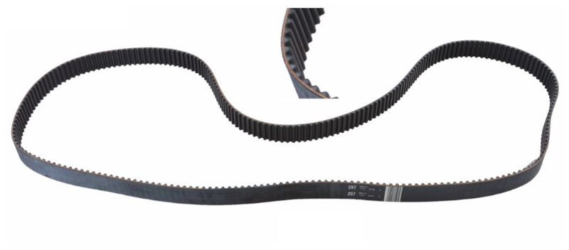 1999 Audi A6 Quattro 2.8L Engine Timing Belt TB297.P62