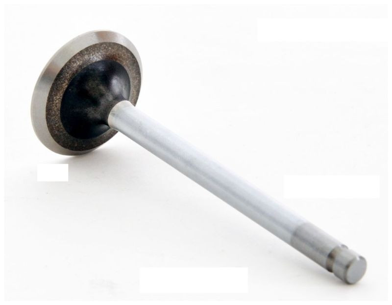 2002 Suzuki Grand Vitara 2.5L Engine Exhaust Valve EM4357.P22