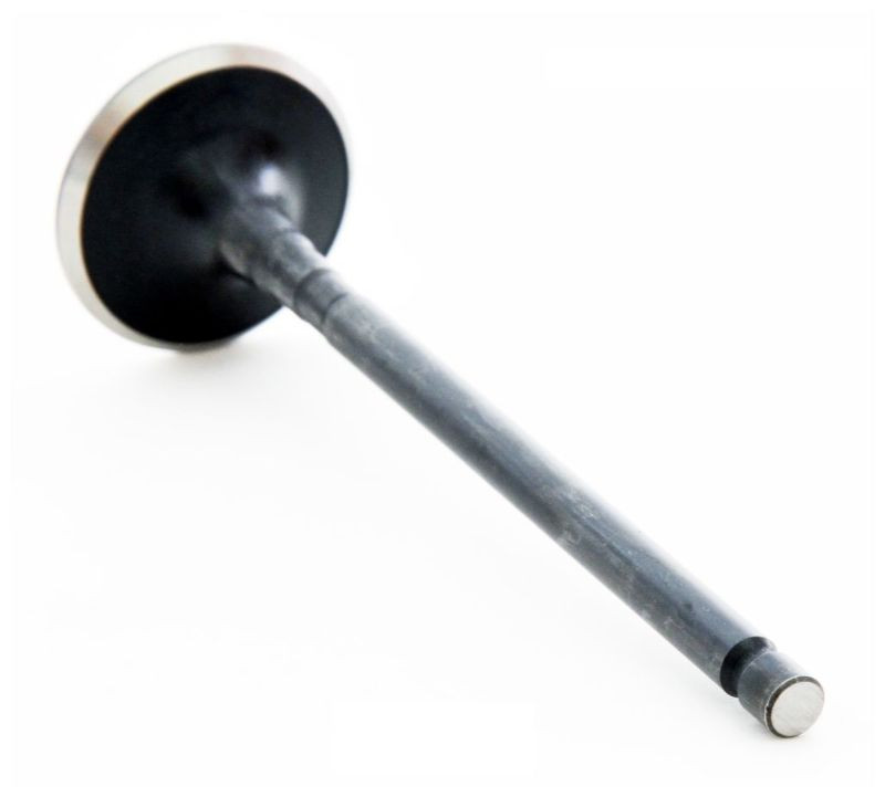 2004 Mitsubishi Endeavor 3.8L Engine Exhaust Valve EM4411.P2