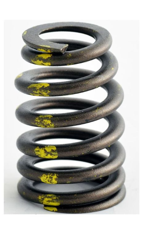 1999 Ford Mustang 3.8L Engine Valve Spring ERV2475.P20