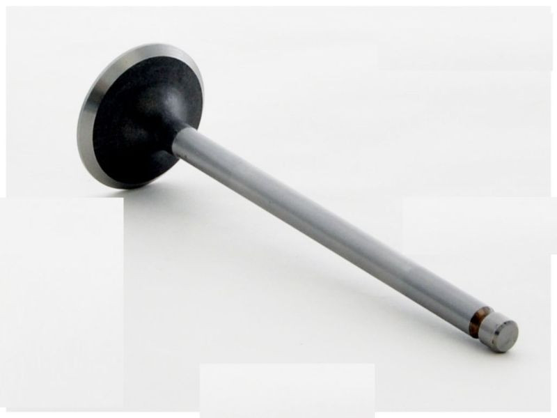 1990 Nissan 240SX 2.4L Engine Intake Valve IM2466.P2