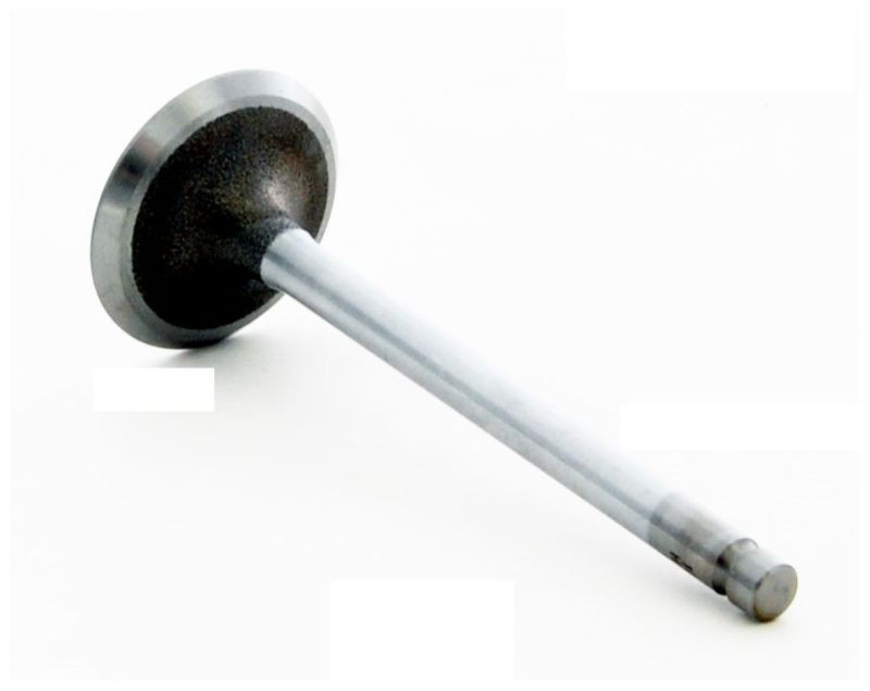 1994 Geo Prizm 1.8L Engine Intake Valve IM2736.P8