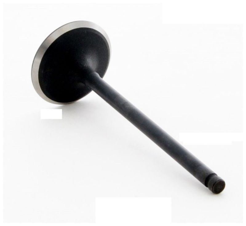 2000 Toyota Camry 3.0L Engine Intake Valve IM2738.P25