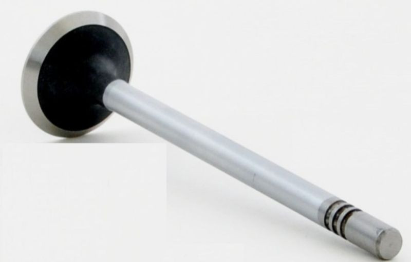 2003 Lincoln Navigator 5.4L Engine Exhaust Valve V2843.P28
