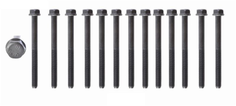 2009 Dodge Ram 2500 6.7L Engine Cylinder Head Bolt Set HB206.P36