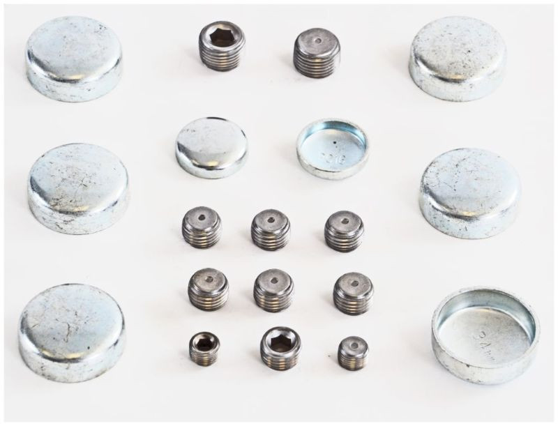 1996 Oldsmobile Cutlass Ciera 3.1L Engine Expansion Plug Kit PK71.P76