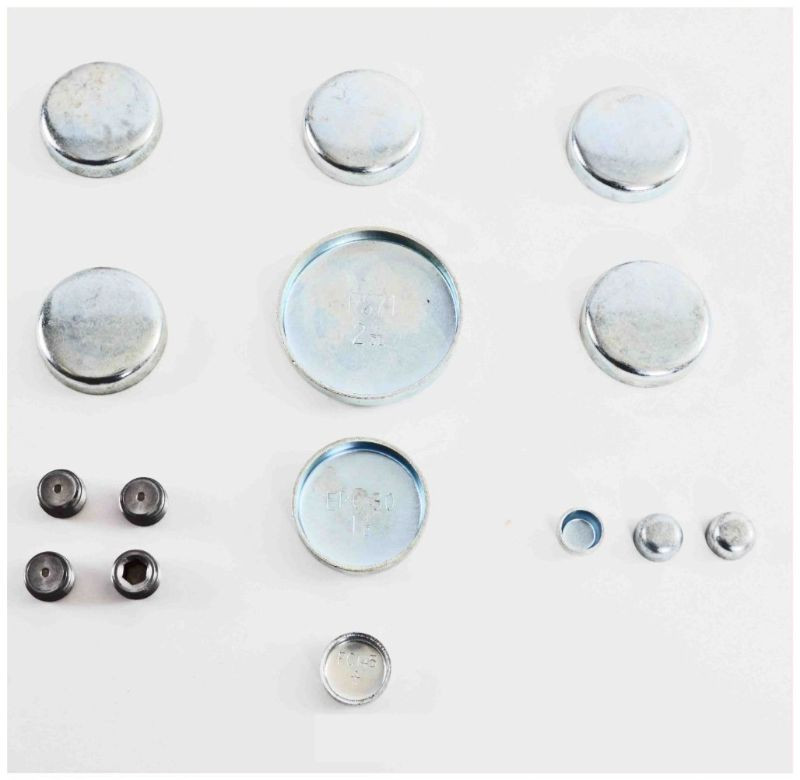 1988 Ford LTD Crown Victoria 5.0L Engine Expansion Plug Kit PK9.P1061