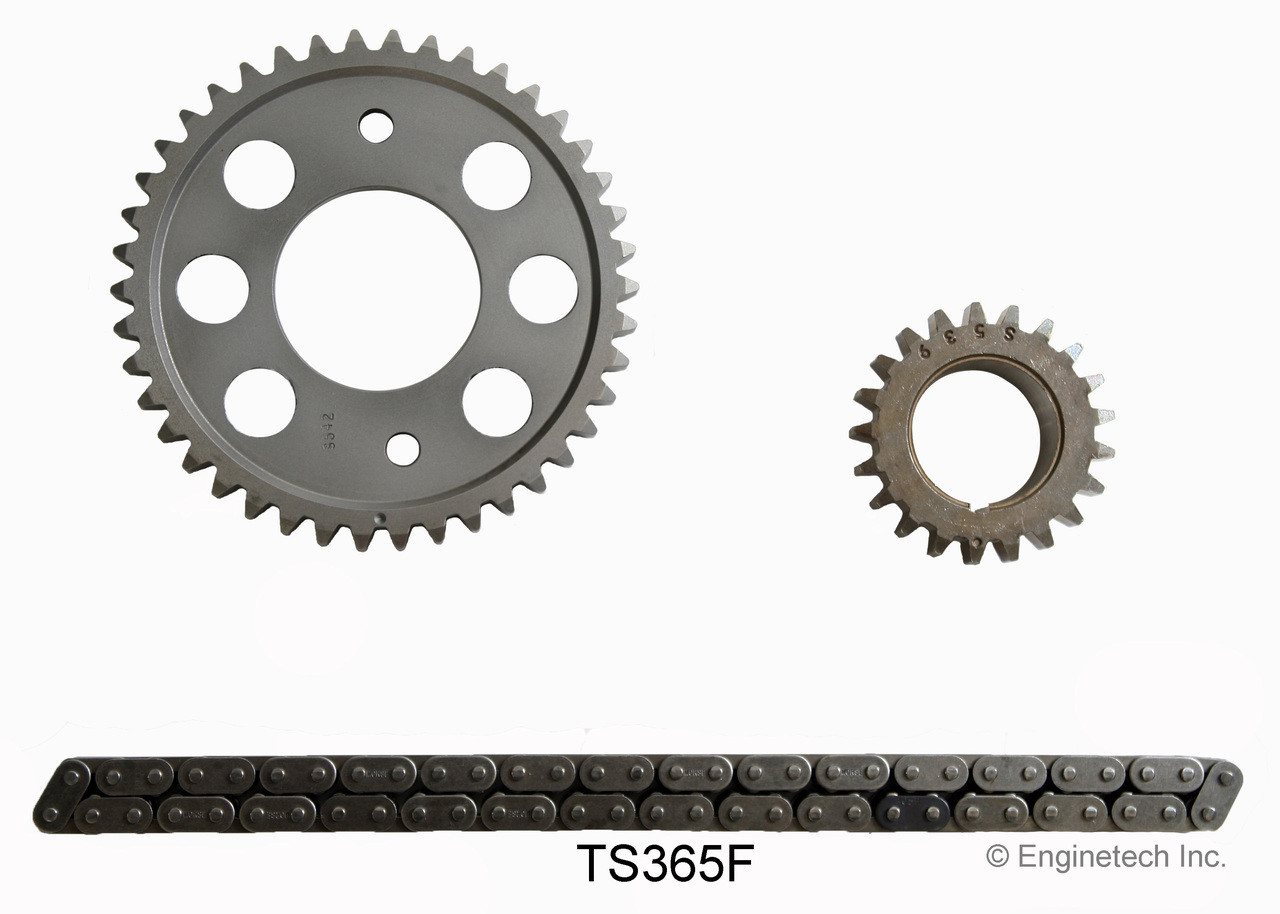 Timing Set - 1985 Ford Mustang 3.8L (TS365F.C22)