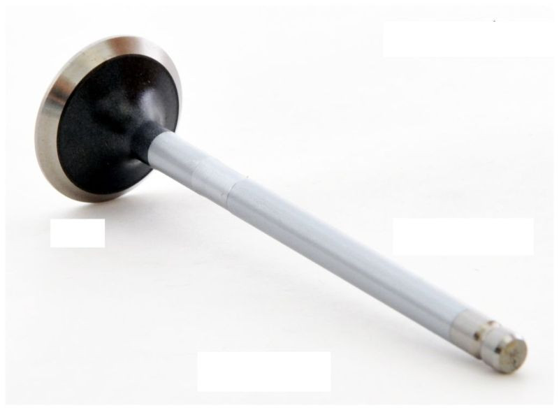1998 Toyota RAV4 2.0L Engine Exhaust Valve EM3501 -21