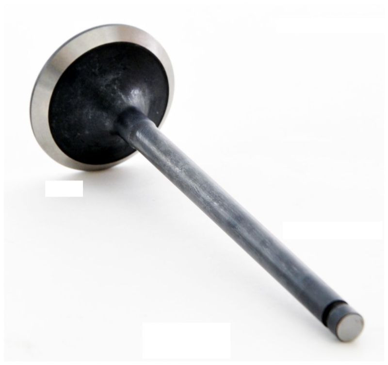 2010 Subaru Legacy 2.5L Engine Exhaust Valve EM4437 -35