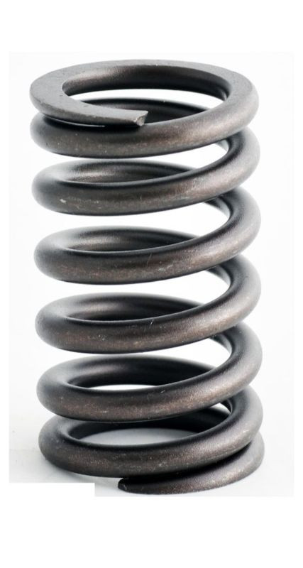 1992 Dodge W350 5.9L Engine Valve Spring ERV1348 -19