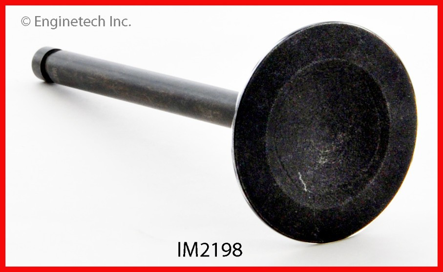 Intake Valve - 1986 Toyota 4Runner 2.4L (IM2198.B18)