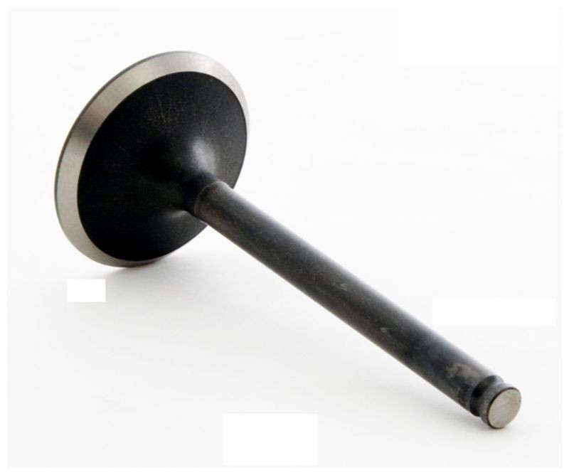 Intake Valve - 1991 Chrysler TC Maserati 3.0L (IM2396.D37)