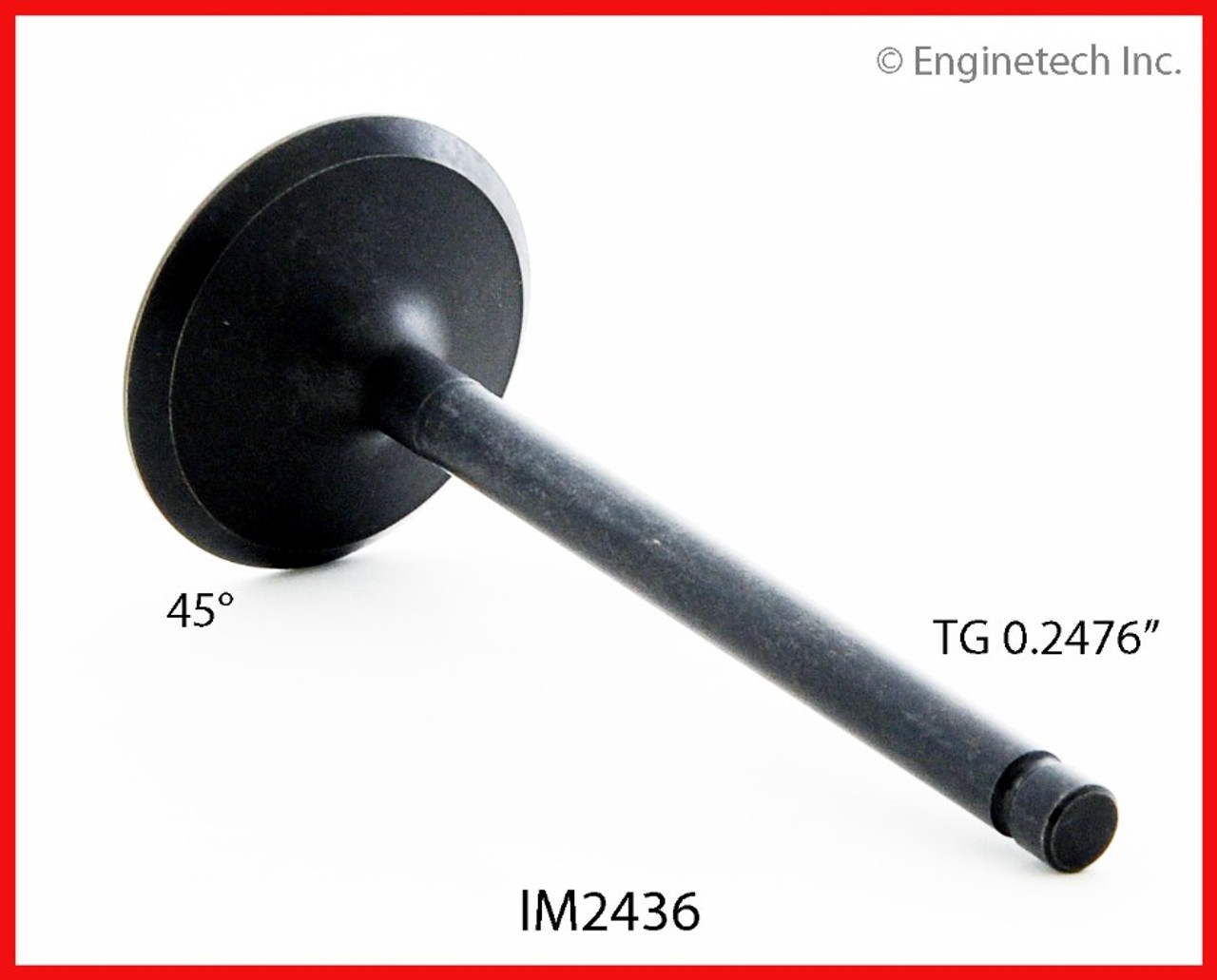 Intake Valve - 1987 Mazda B2000 2.0L (IM2436.A9)