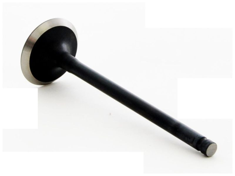 Intake Valve - 1989 Toyota MR2 1.6L (IM2458.B14)