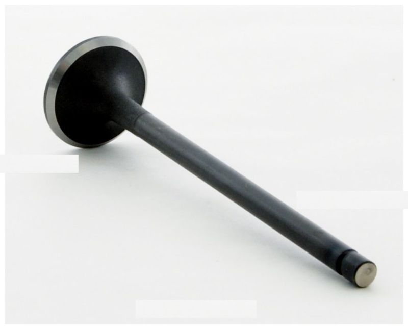 Intake Valve - 1989 Honda Accord 2.0L (IM2538.B20)