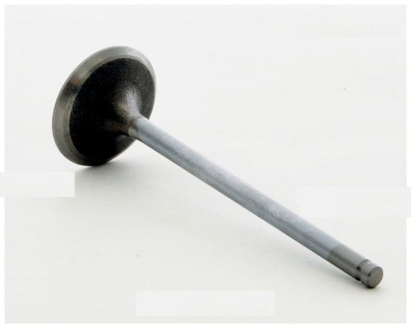Intake Valve - 2001 Acura Integra 1.8L (IM2654.C21)