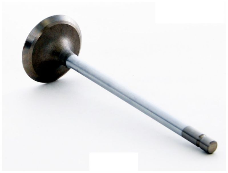 Intake Valve - 1995 Isuzu Trooper 3.2L (IM2806.A4)