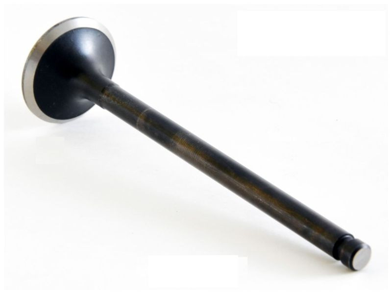 Intake Valve - 2013 Acura TSX 3.5L (IM4476.F59)